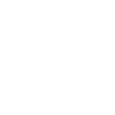 Youtube ARI